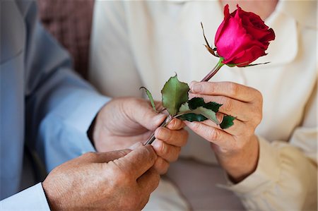 romantic hand - Senior man giving rose to senor woman Stock Photo - Premium Royalty-Free, Code: 614-06169311