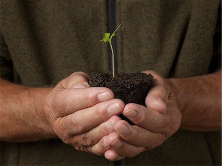 earth and hand - Man holding seedling Stock Photo - Premium Royalty-Free, Code: 614-06169323
