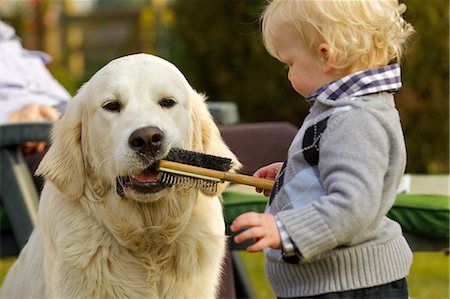 Little boy letting golden retriever chew a brush Stock Photo - Premium Royalty-Free, Code: 614-06311834