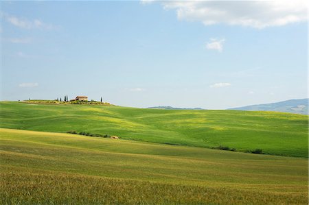 Laminage de paysage, Toscane, Italie Photographie de stock - Premium Libres de Droits, Code: 614-06311899
