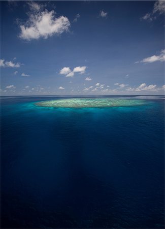 simsearch:614-08874062,k - Coral reef in tropical water Fotografie stock - Premium Royalty-Free, Codice: 614-06536739