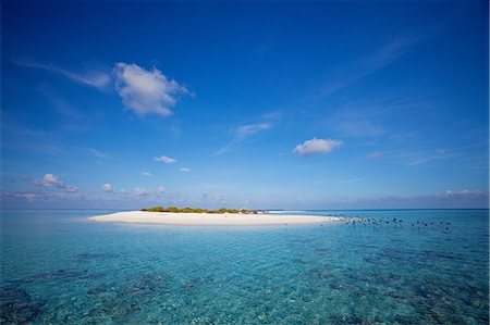 Sandbar in tropical water Foto de stock - Sin royalties Premium, Código: 614-06536947