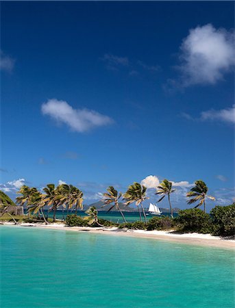 st vincent and the grenadines - Palm trees on sandbar in tropical water Foto de stock - Sin royalties Premium, Código: 614-06537516