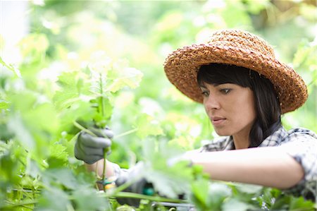 sun care - Woman working in garden Stock Photo - Premium Royalty-Free, Code: 614-06537595