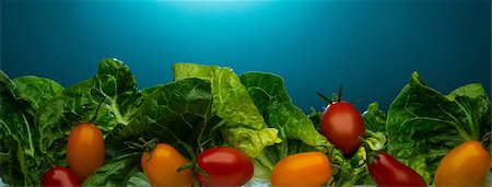 photograph of lettuce - Close up of tomatoes and lettuce Foto de stock - Sin royalties Premium, Código: 614-06624615