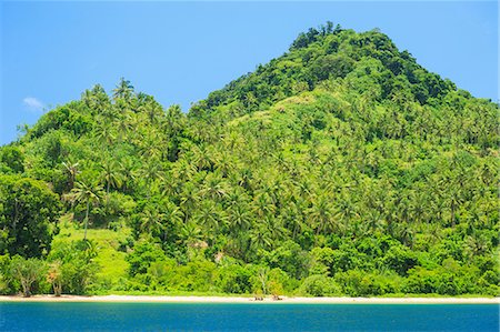 pacifique du sud - Palm trees on hilly tropical island Photographie de stock - Premium Libres de Droits, Code: 614-06624868