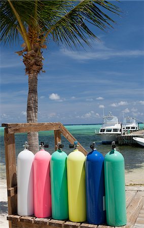 palm trees in rows - Scuba tanks on the beach Stock Photo - Premium Royalty-Free, Code: 614-06623296