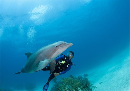 scuba-diving - Diver with dolphin Stock Photo - Premium Royalty-Free, Code: 614-06623327