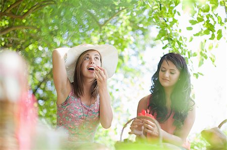 fruits basket low angle - Women picnicking together in park Foto de stock - Sin royalties Premium, Código: 614-06623591