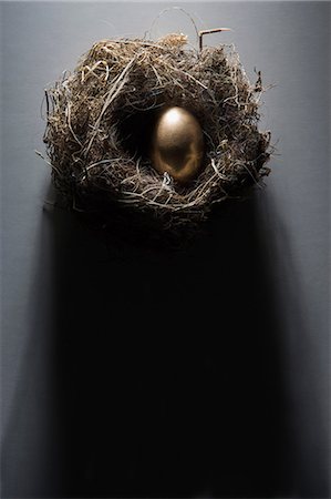 simsearch:614-05556958,k - Golden egg in nest Photographie de stock - Premium Libres de Droits, Code: 614-06718755