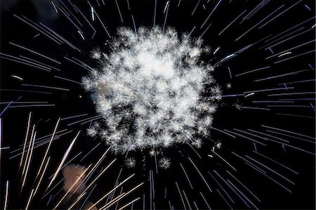 sky night movement - Fireworks exploding in night sky Stock Photo - Premium Royalty-Free, Code: 614-06719753