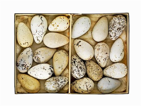 shell cut out - Box of old speckled eggs Stock Photo - Premium Royalty-Free, Code: 614-06719770