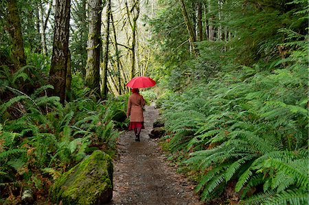 rain walk - Woman with umbrella walking in forest Stock Photo - Premium Royalty-Free, Code: 614-06719899