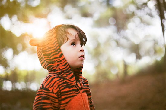 Portrait of male toddler in tiger suit alone in woods Stock Photo - Premium Royalty-Free, Image code: 614-06814356