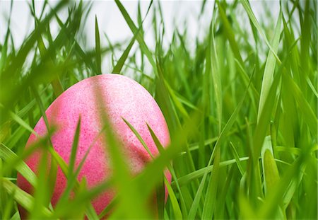 Pink easter egg hiding in grass Foto de stock - Sin royalties Premium, Código: 614-06813713