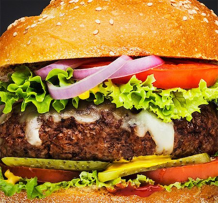 succulent - Burger full frame Photographie de stock - Premium Libres de Droits, Code: 614-06813732