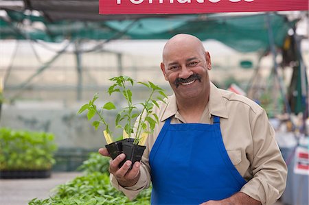 Mature man holding pot plant in garden centre, smiling Stock Photo - Premium Royalty-Free, Code: 614-06896207