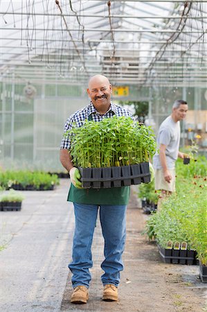 simsearch:614-06896327,k - Mature man holding plants in garden centre, portrait Foto de stock - Sin royalties Premium, Código: 614-06896297