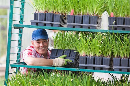 simsearch:614-06896207,k - Mature sales assistant arranging shelves of plants in garden centre Stock Photo - Premium Royalty-Free, Code: 614-06896315