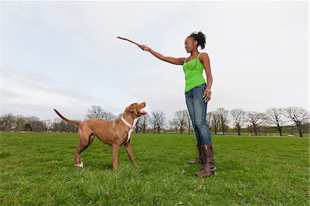 Young woman in park holding up stick for dog Foto de stock - Sin royalties Premium, Código: 614-06897415