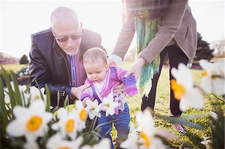 Grandparents with granddaughter amongst daffodils Stock Photo - Premium Royalty-Free, Code: 614-06897413