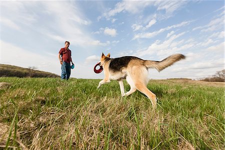 Man training alsatian dog with frisbees Foto de stock - Sin royalties Premium, Código: 614-06897425