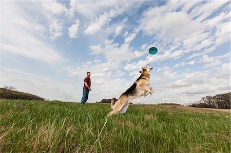 Alsatian dog jumping to catch frisbee Foto de stock - Sin royalties Premium, Código: 614-06897420