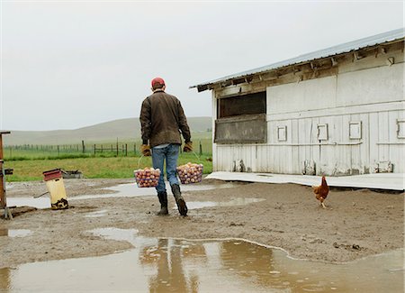 Farmer carrying two baskets of eggs Foto de stock - Sin royalties Premium, Código: 614-06898455