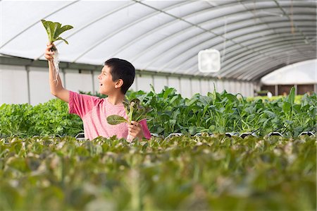 simsearch:614-06974033,k - Boy holding up plants in nursery, smiling Stock Photo - Premium Royalty-Free, Code: 614-06974007