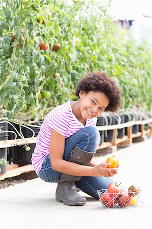 Girl picking fresh tomatoes Photographie de stock - Premium Libres de Droits, Code: 614-06974033