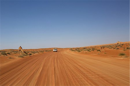 Desert road in Wahiba Sands, Al Mintrib, Oman Photographie de stock - Premium Libres de Droits, Code: 614-06974581