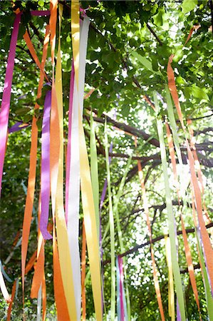 Tree with tied color ribbons Photographie de stock - Premium Libres de Droits, Code: 614-07031838