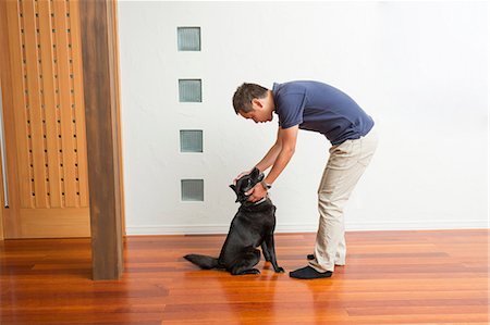Man stroking his pet dog Stock Photo - Premium Royalty-Free, Code: 614-07145845