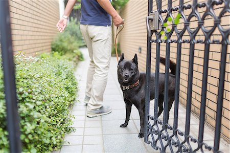 Dog looking out of gate Photographie de stock - Premium Libres de Droits, Code: 614-07145843