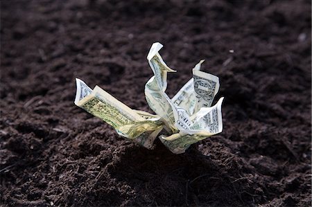 surrealism - Dollar bills growing out of soil Stock Photo - Premium Royalty-Free, Code: 614-07194728