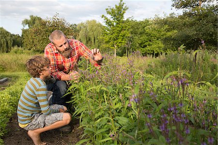 Mature man and son looking at plants on herb farm Stockbilder - Premium RF Lizenzfrei, Bildnummer: 614-07194756
