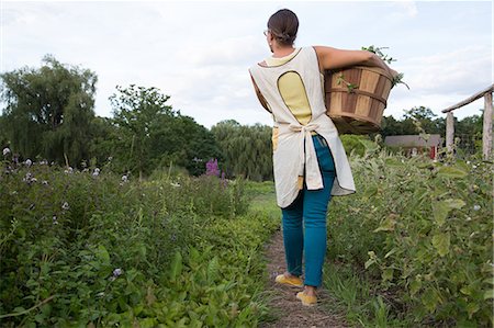 small holding - Woman carrying basket of plants on family herb farm Stock Photo - Premium Royalty-Free, Code: 614-07194759