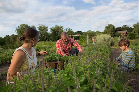 Family working together on herb farm Stock Photo - Premium Royalty-Free, Code: 614-07194750