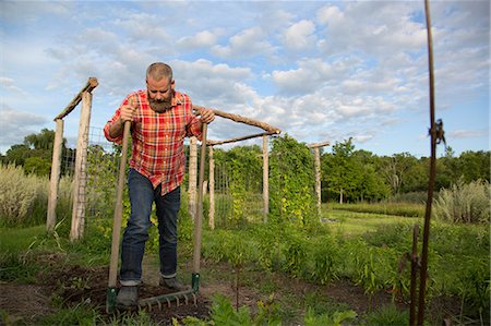 Mature man raking soil on herb farm Stock Photo - Premium Royalty-Free, Code: 614-07194761