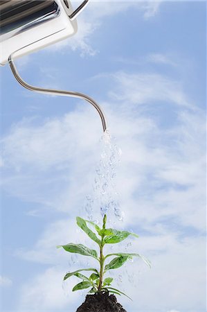 Watering can pouring droplets of water on plant Foto de stock - Sin royalties Premium, Código: 614-07240001