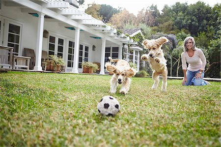 funny person jumping - Puppies running after ball, woman in background Stock Photo - Premium Royalty-Free, Code: 614-07444110