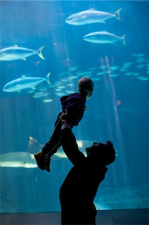 Father lifting young son to watch fish in aquarium Photographie de stock - Premium Libres de Droits, Code: 614-07444265