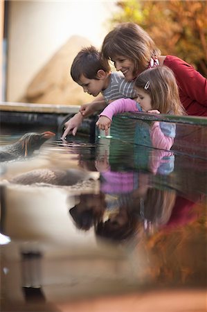 swim senior picture - Young grandchildren and grandmother watching penguin at zoo Stock Photo - Premium Royalty-Free, Code: 614-07444260