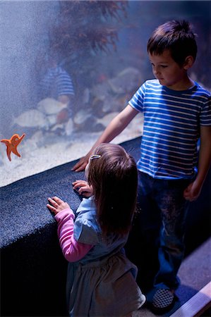 Young brother and sister looking at starfish in aquarium Foto de stock - Sin royalties Premium, Código: 614-07444262