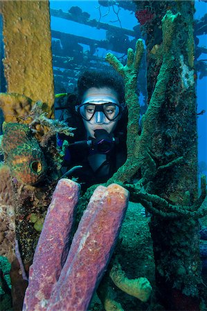 Diver on shipwreck. Stock Photo - Premium Royalty-Free, Code: 614-07453385