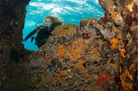 people on boat with underwater view - Diver and shipwreck. Stock Photo - Premium Royalty-Free, Code: 614-07453382