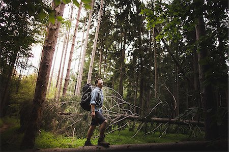 solitude - Mature man hiking in forest Photographie de stock - Premium Libres de Droits, Code: 614-07806042
