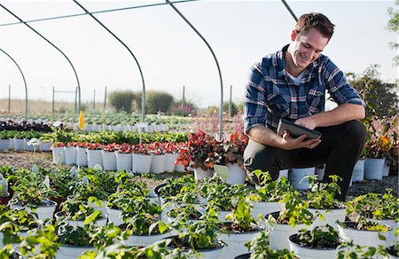 simsearch:649-07063406,k - Young male horticulturalist using touchscreen on digital tablet in plant nursery polytunnel Stock Photo - Premium Royalty-Free, Code: 614-07806403