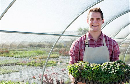 simsearch:614-07806415,k - Portrait of young male horticulturalist holding plants in plant nursery polytunnel Stock Photo - Premium Royalty-Free, Code: 614-07806414