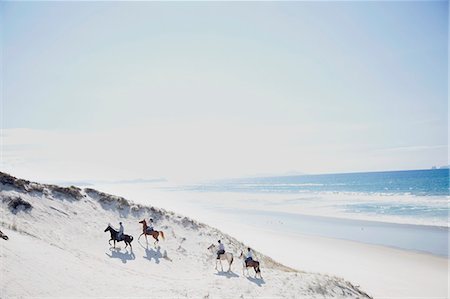 Horse riding, Pakiri Beach, Auckland, New Zealand Foto de stock - Sin royalties Premium, Código: 614-07911669